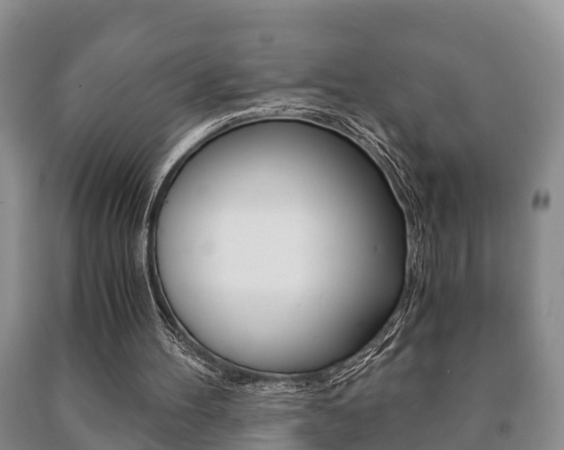 X0000091060100200708061009