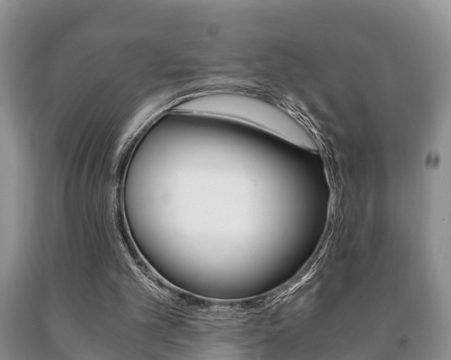 X0000091060101200708061009
