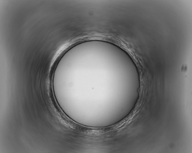 X0000091060102200708061009