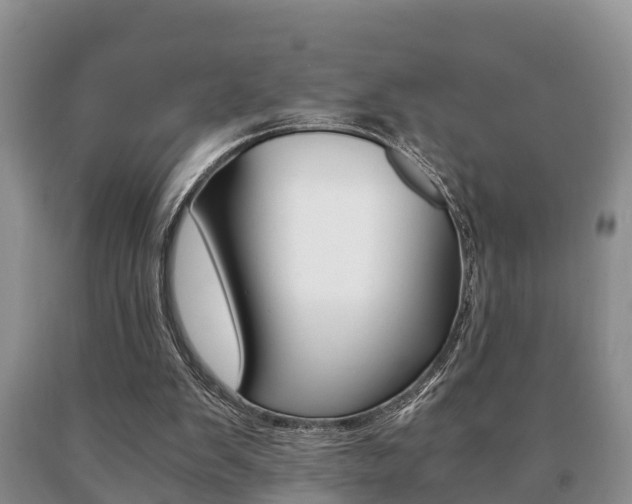 X0000091060103200708061009