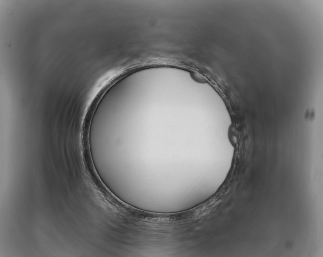 X0000091060104200708061009