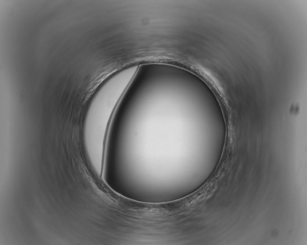 X0000091060105200708061009