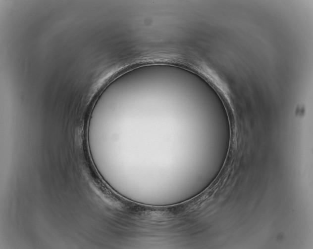 X0000091060107200708061009