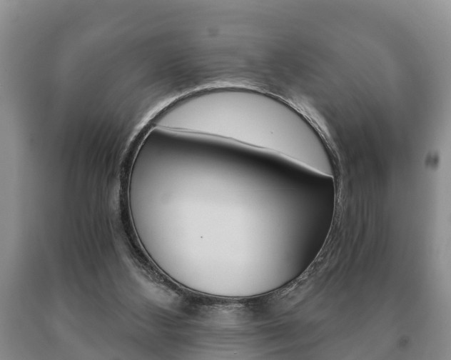 X0000091060108200708061009