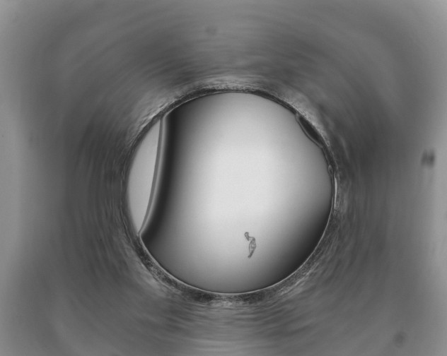 X0000091060109200708061009