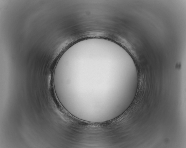 X0000091060110200708061009
