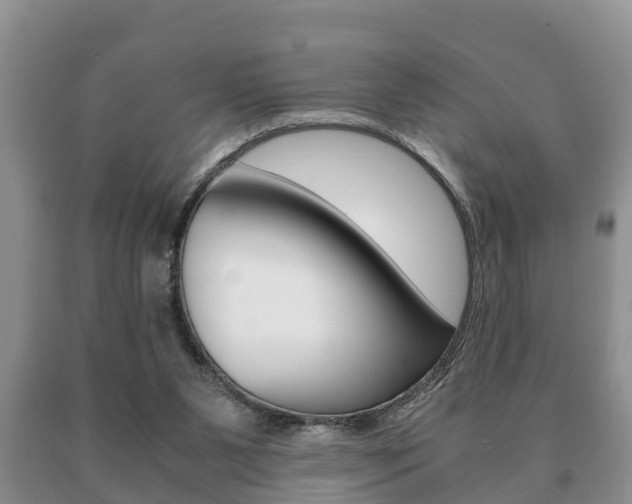 X0000091060111200708061009