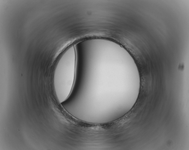 X0000091060112200708061009