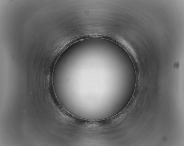 X0000091060113200708061009