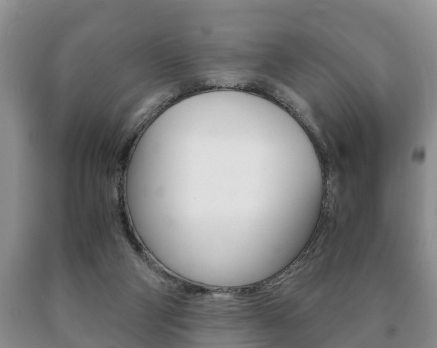 X0000091060114200708061009