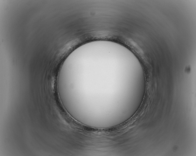 X0000091060115200708061009