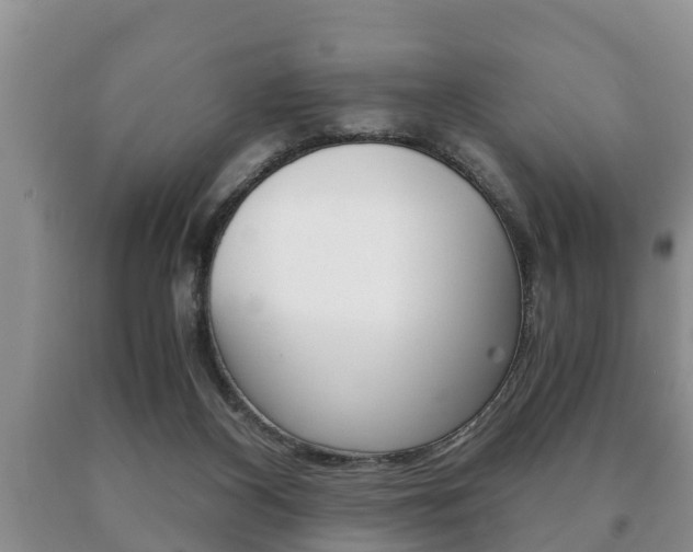 X0000091060116200708061009