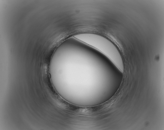 X0000091060117200708061009