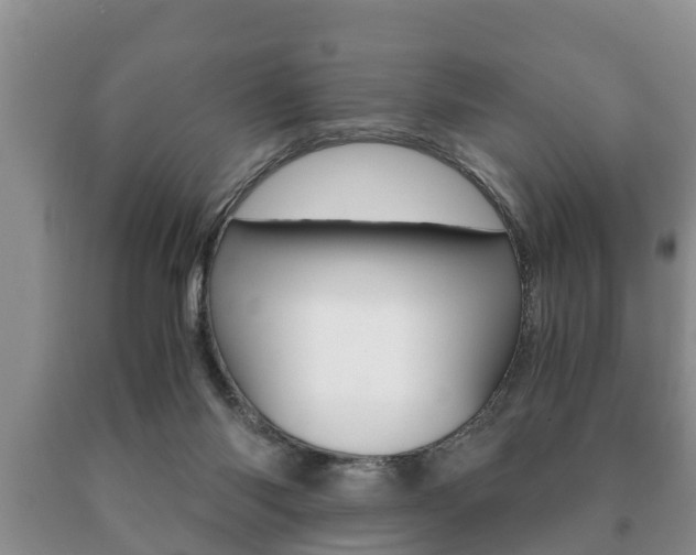 X0000091060118200708061009