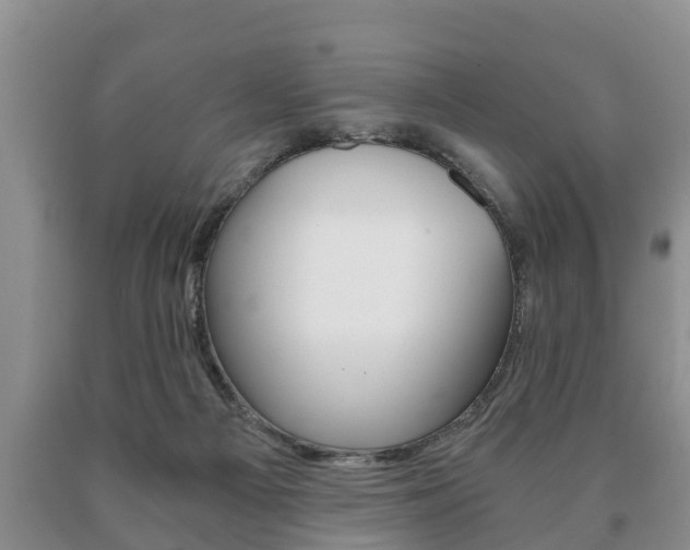 X0000091060121200708061009