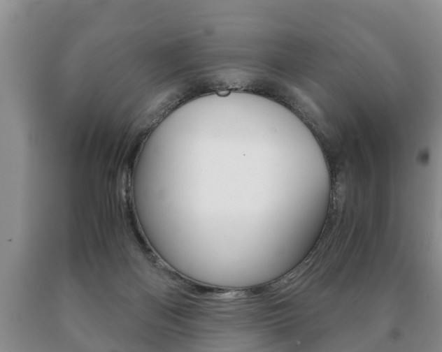 X0000091060122200708061009