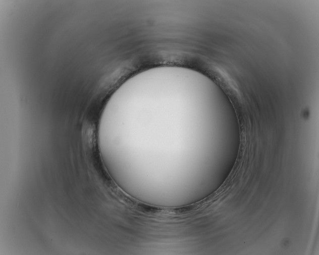 X0000091060123200708061009