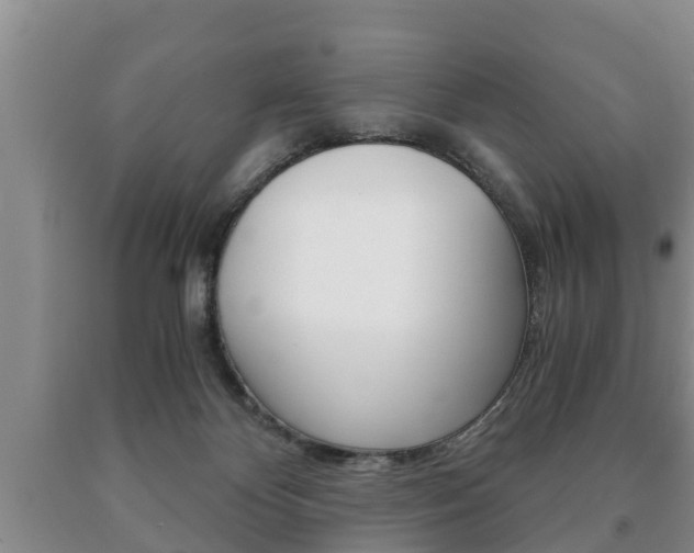X0000091060124200708061009