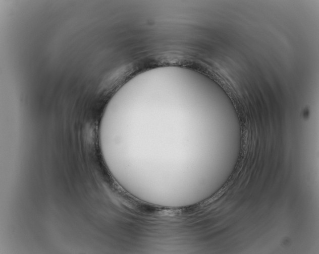 X0000091060126200708061009
