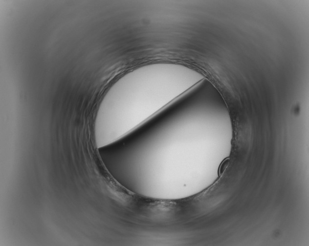 X0000091060128200708061009