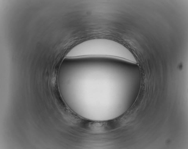 X0000091060129200708061009
