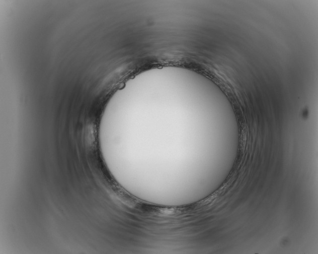 X0000091060130200708061009