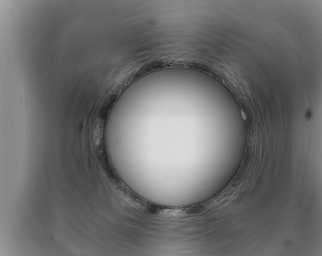 X0000091060133200708061009