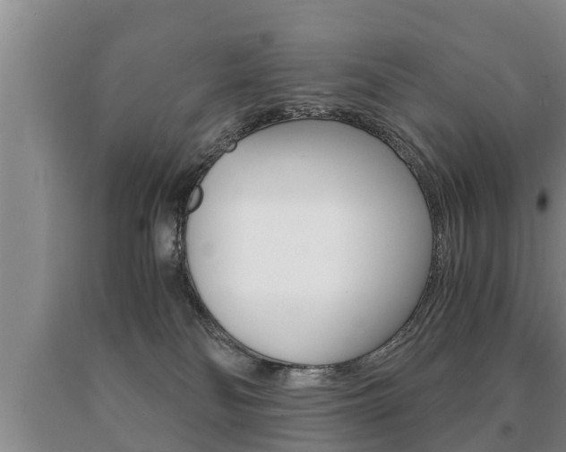 X0000091060134200708061009