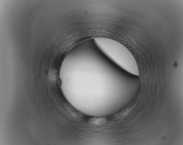 X0000091060135200708061009
