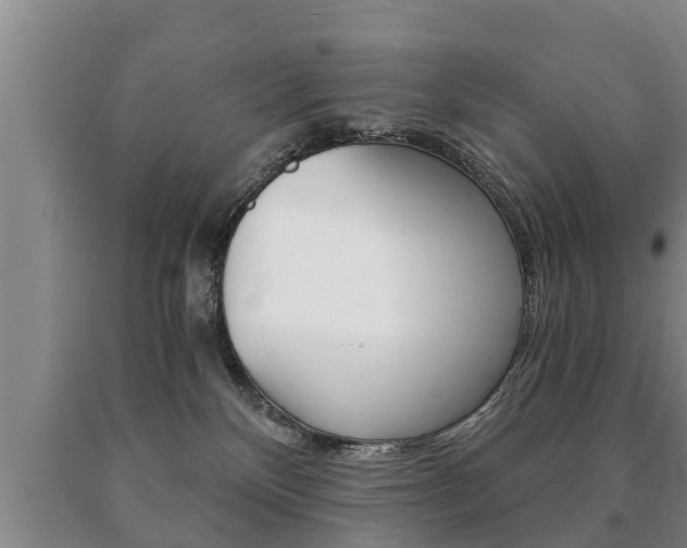 X0000091060136200708061009