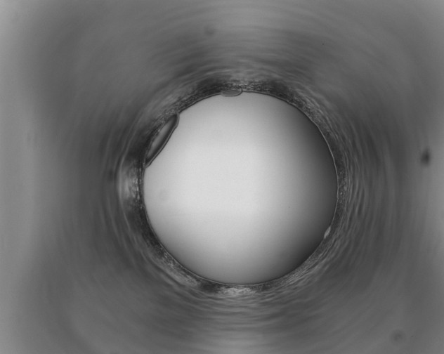 X0000091060137200708061009