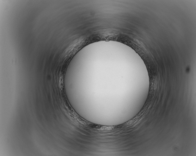 X0000091060138200708061009