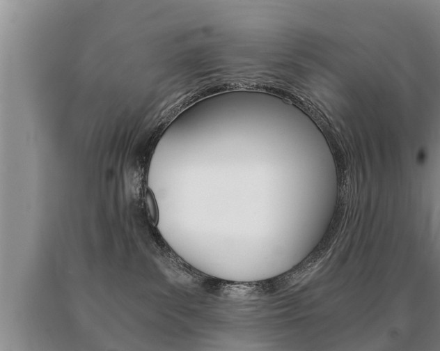 X0000091060139200708061009