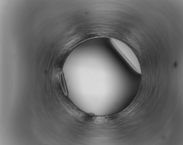 X0000091060141200708061009