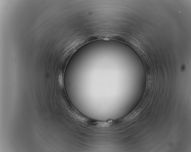 X0000091060143200708061008