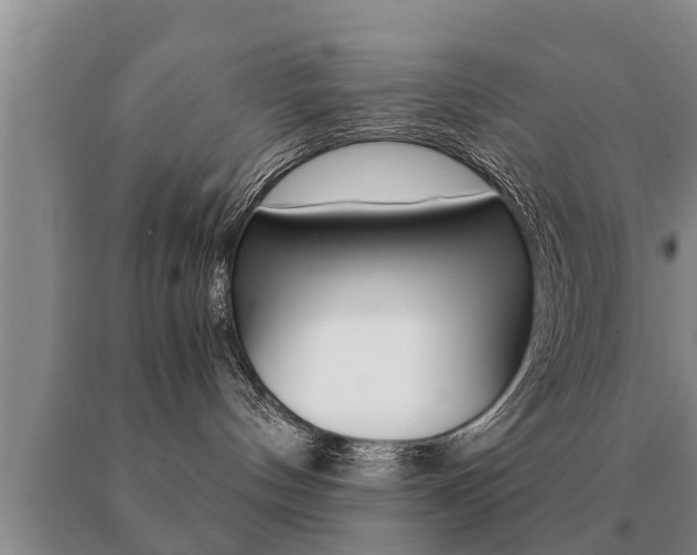 X0000091060144200708061008