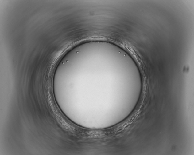 X0000091060145200708061008