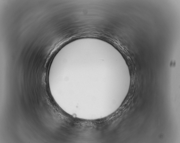X0000091060146200708061008
