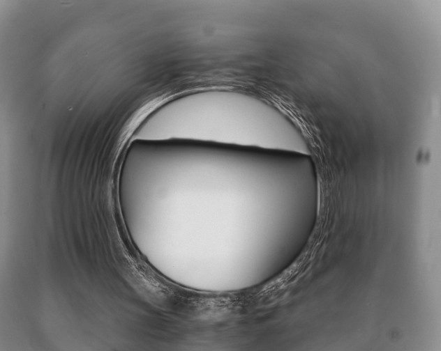 X0000091060147200708061008