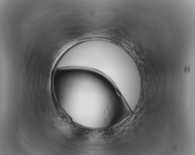X0000091060148200708061008