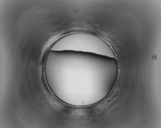 X0000091060149200708061008