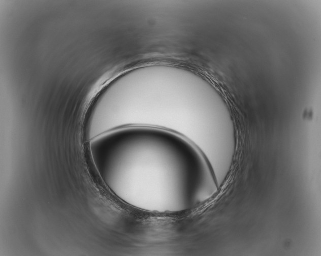 X0000091060150200708061008