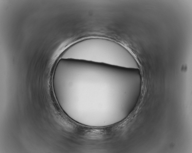 X0000091060151200708061008