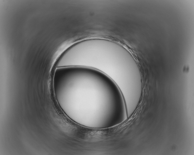 X0000091060152200708061008