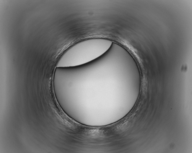 X0000091060153200708061008