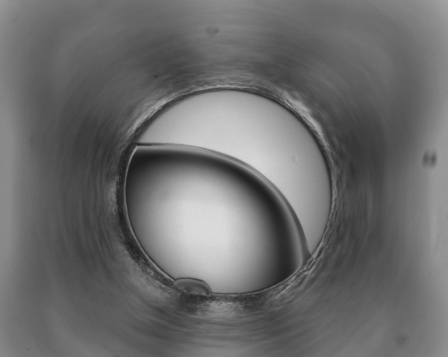 X0000091060154200708061008