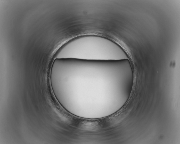 X0000091060155200708061008