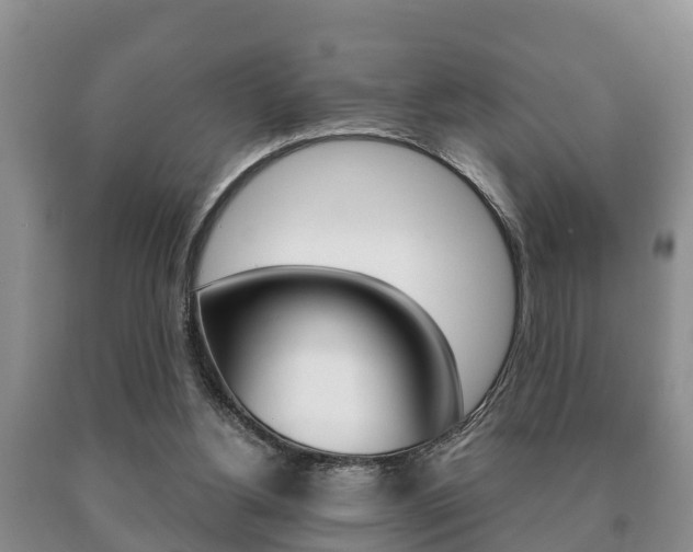 X0000091060156200708061008