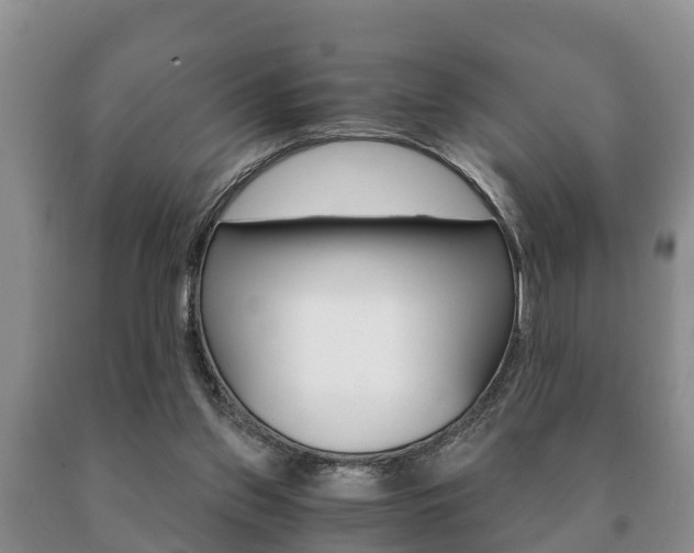 X0000091060157200708061008