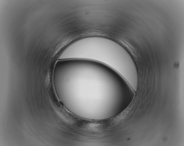 X0000091060158200708061008